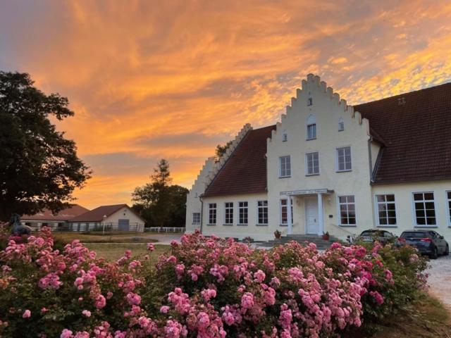 Boutique Hotel Gut Tribbevitz Neuenkirchen auf Rugen Luaran gambar